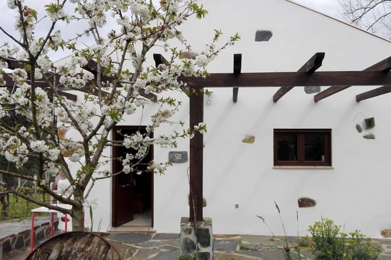 Casa Da Tileira Hébergement de vacances *